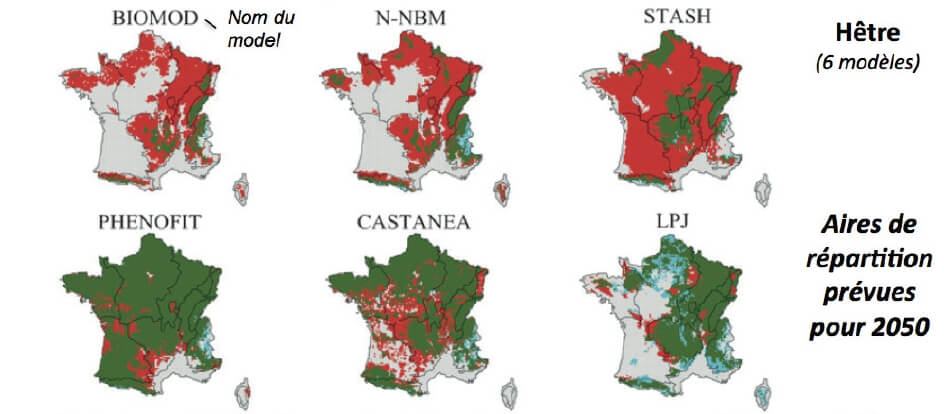 Laboratoire Ecologie, Systématique et Evolution