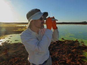 dmoreira_dallol Laboratoire Ecologie, Systématique et Evolution
