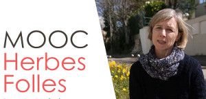 sophie Laboratoire Ecologie, Systématique et Evolution