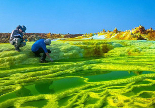 Laboratoire Ecologie, Systématique et Evolution