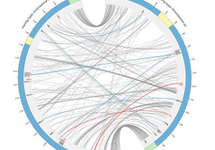 Laboratoire Ecologie, Systématique et Evolution