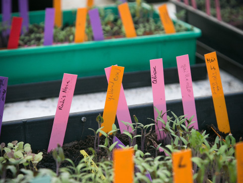 Laboratoire Ecologie, Systématique et Evolution