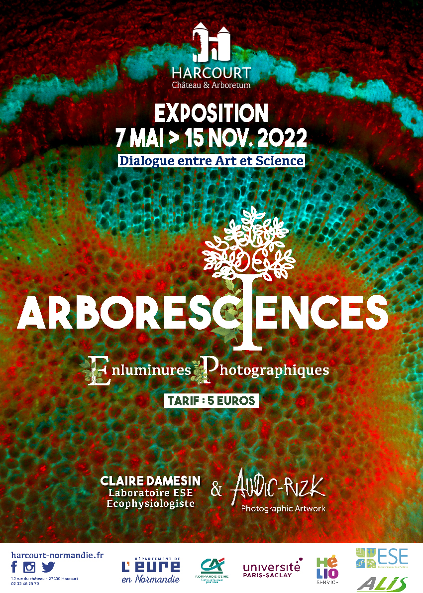 AFFICHE_Harcourt_ARBORESCIENCES_s 2022
