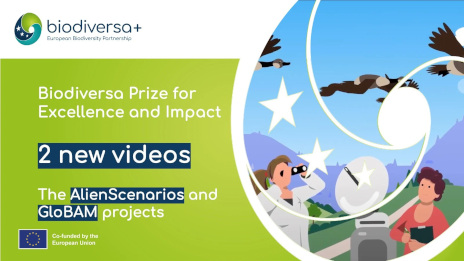 Video-Prize-copy