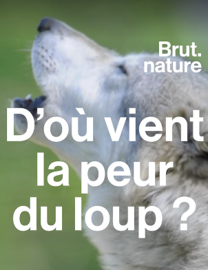 loup