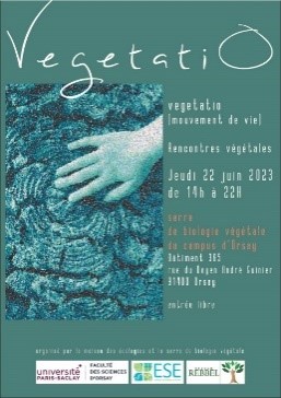 vege