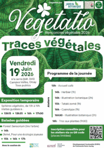 vegetatio1
