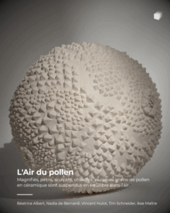 Air-du-pollen