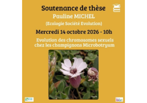 these-michel-20261014